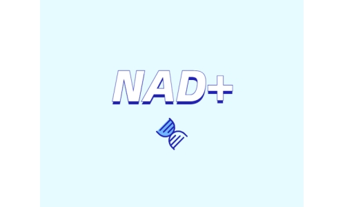 為什么要增強(qiáng)NAD+？