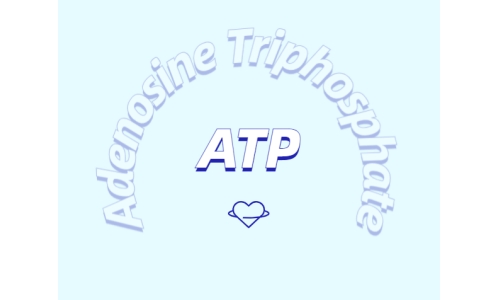 ATP有什么用？