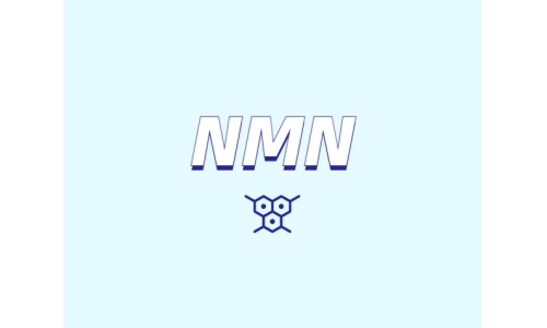 NMN對人體有什么潛在效果？