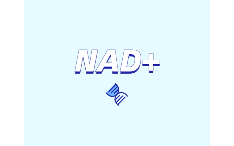 NAD與NMN的全新概念？
